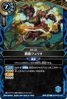26RSD06-008 ���ƥե��ꥪ C��2026��