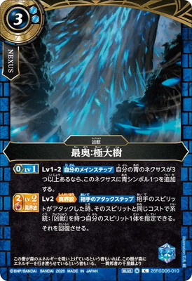 26RSD06-010 �Ǳ�������� C��2026��