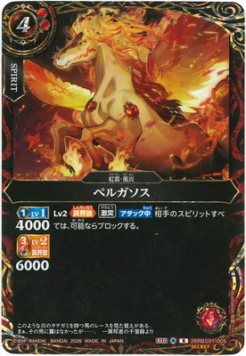 ��SECRET��26RBS01-005 �ڥ륬���� R��2026��