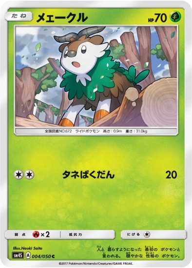 PK-SM4S-004 �ᥧ������ C