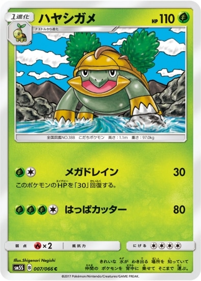 ハヤシガメ (SM05S-007) - SM05S