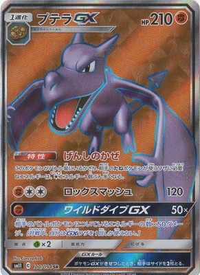 PK-SM11-100 ץƥGX SR