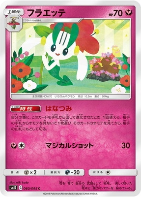 PK-SM12-060 �ե饨�å� C