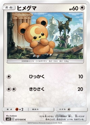 ヒメグマ (SM12-077) - SM12