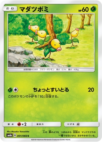 マダツボミ (SM06B-001) - SM06B