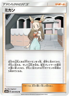 ミカン (SM08A-051) - SM08A