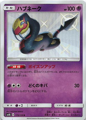 PK-SM8B-175 ϥ֥͡ S