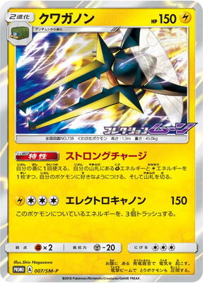 PK-SM-P-007 ���塞�Υ�