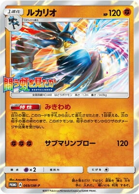 PK-SM-P-069 �륫�ꥪ