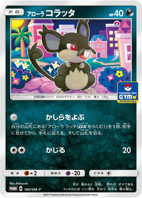 PK-SM-P-160 �������饳��å�