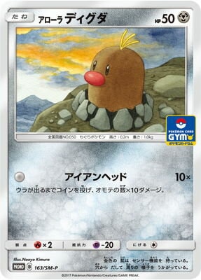PK-SM-P-163 ��������ǥ�����
