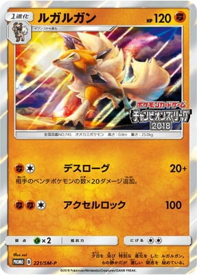 PK-SM-P-221 �륬�륬��
