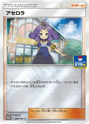 PK-SM-P-223 ��������