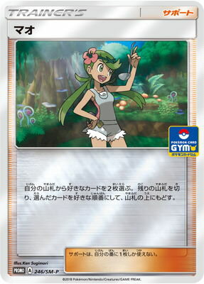 PK-SM-P-246 �ޥ�