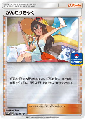 PK-SM-P-308 ���󤳤����㤯