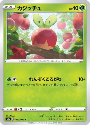 PK-S1a-010 �����å��� C