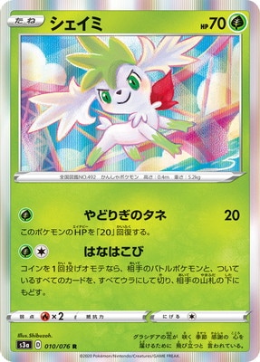 PK-S3a-010 �������� R