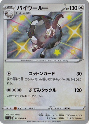 PK-S4a-303 �Х������롼 S