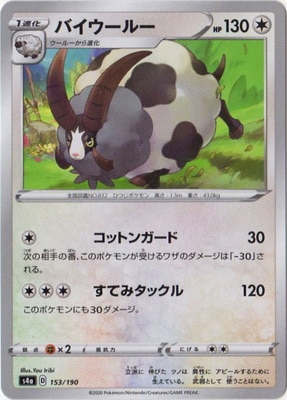 PK-S4a-153 �Х������롼(����)