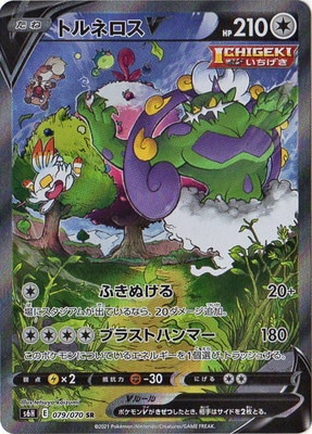 PK-S6H-079 �ȥ�ͥ���V SR