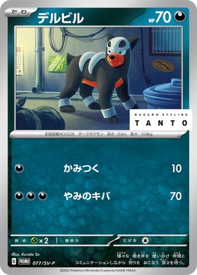 PK-SV-P-077 �ǥ�ӥ�