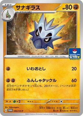 PK-SV-P-093 ���ʥ��饹