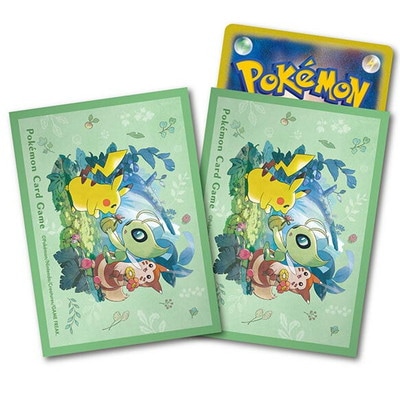 �ݥ���󥫡��ɥ����� �ǥå�������� ���Τ�������