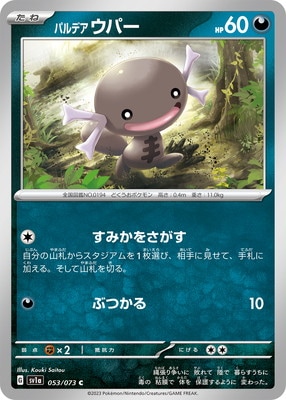 PK-SV1a-053 �ѥ�ǥ� ���ѡ� C