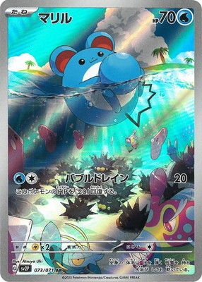 PK-SV2P-073 �ޥ�� AR