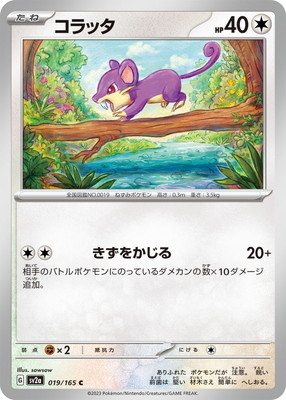 【PSA8】乱戦！ポケモンスクランブル コラッタ　ポケモンカード 希少カード PK-SV2a-019 コラッタ C｜販売・在庫｜ポケカ通販フルアヘッド