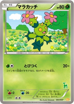 ポケモンカード,BWシリーズ,その他デッキ・BOX【BWシリーズ