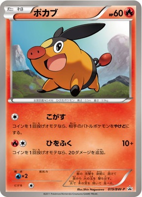 PK-BW-P-019 ポカブ｜販売・在庫｜ポケカ通販フルアヘッド