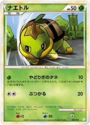 ポケモンカード,LEGENDシリーズ,その他デッキ・BOX【LEGENDシリーズ