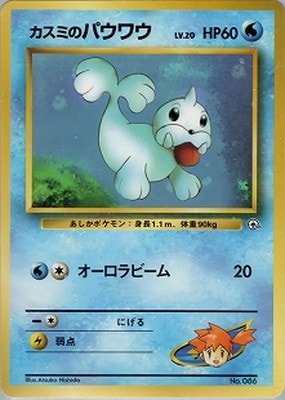 PK-PMCGPG1K カスミのパウワウLV.20 【ハナダシティジム カスミ