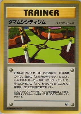 PK-PMCGPG2E タマムシシティジム 【タマムシシティジム エリカ