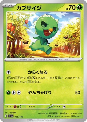 ポケモンカードAR57枚かぶり無し ポケモンカードAR57枚かぶり無し 【公式通販】