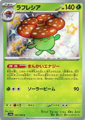 PK-SV4a-193 ��ե쥷�� S