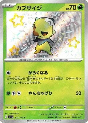 PK-SV4a-207 ���ץ����� S