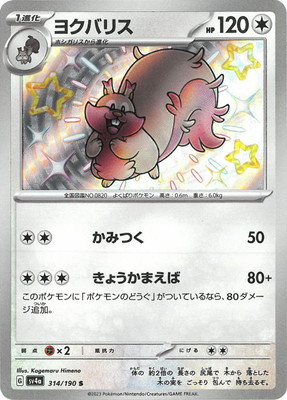 PK-SV4a-314 襯Хꥹ S