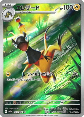 PK-SV5a-073 ���쥶���� AR