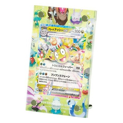 �ݥ���󥫡��ɥ����� �ǥ����ץ쥤�ե졼�� �ɥ饴��ե��