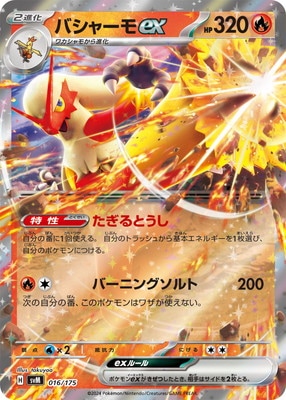 �ڥ����ʰ¡�PK-SVM-016 �Х��㡼��ex RR