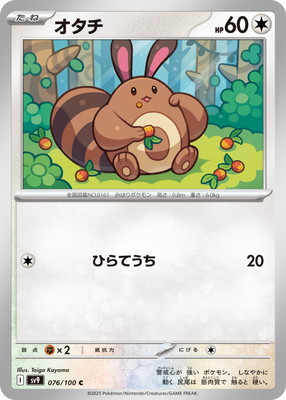 PK-SV9-076 ������ C