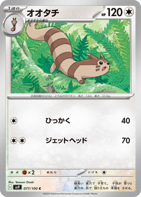PK-SV9-077 �������� C