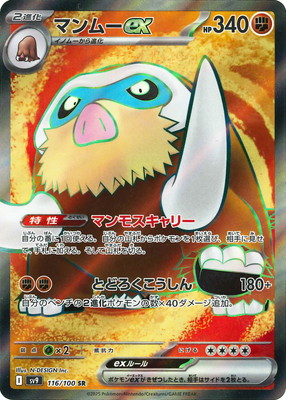 PK-SV9-116 ޥࡼex SR