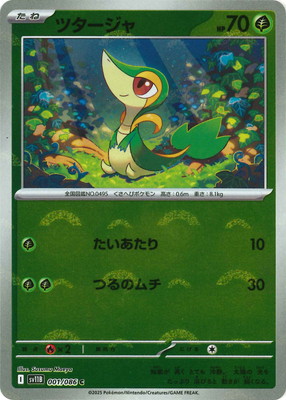 �ڥ���ۡڥ�󥹥����ܡ�������PK-SV11B-001 �ĥ������� C