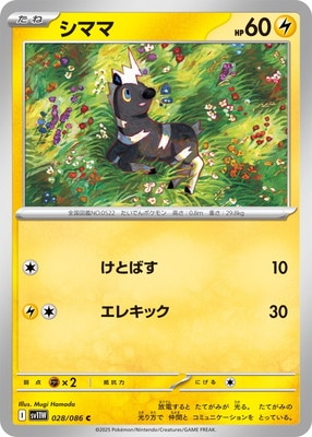 PK-SV11W-028 ޥ C