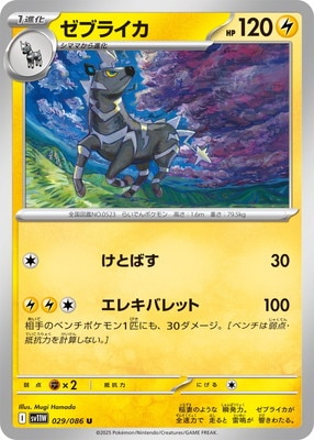 PK-SV11W-029 ֥饤 U