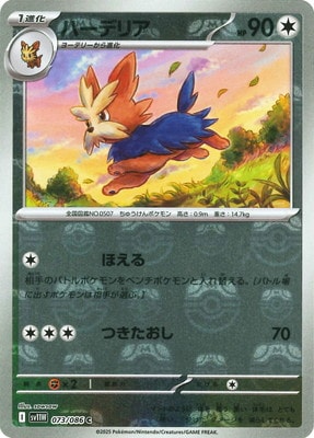 ڥۡڥޥܡPK-SV11W-073 ϡǥꥢ C