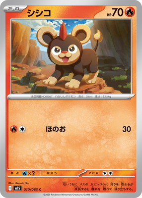 45枚　超貴重　ポケモンカード　炎タイプ 45枚 超貴重 ポケモンカード 炎タイプ